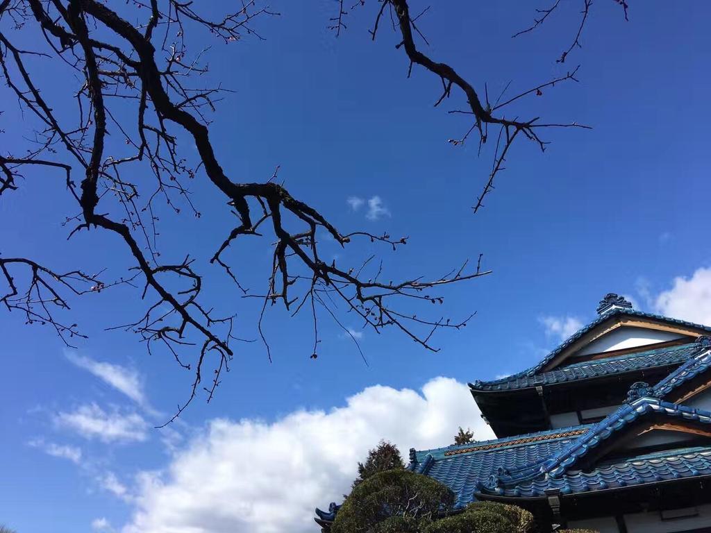Kougetsu Sanso -- Moon Villa In Tokyo Hachioji Dış mekan fotoğraf