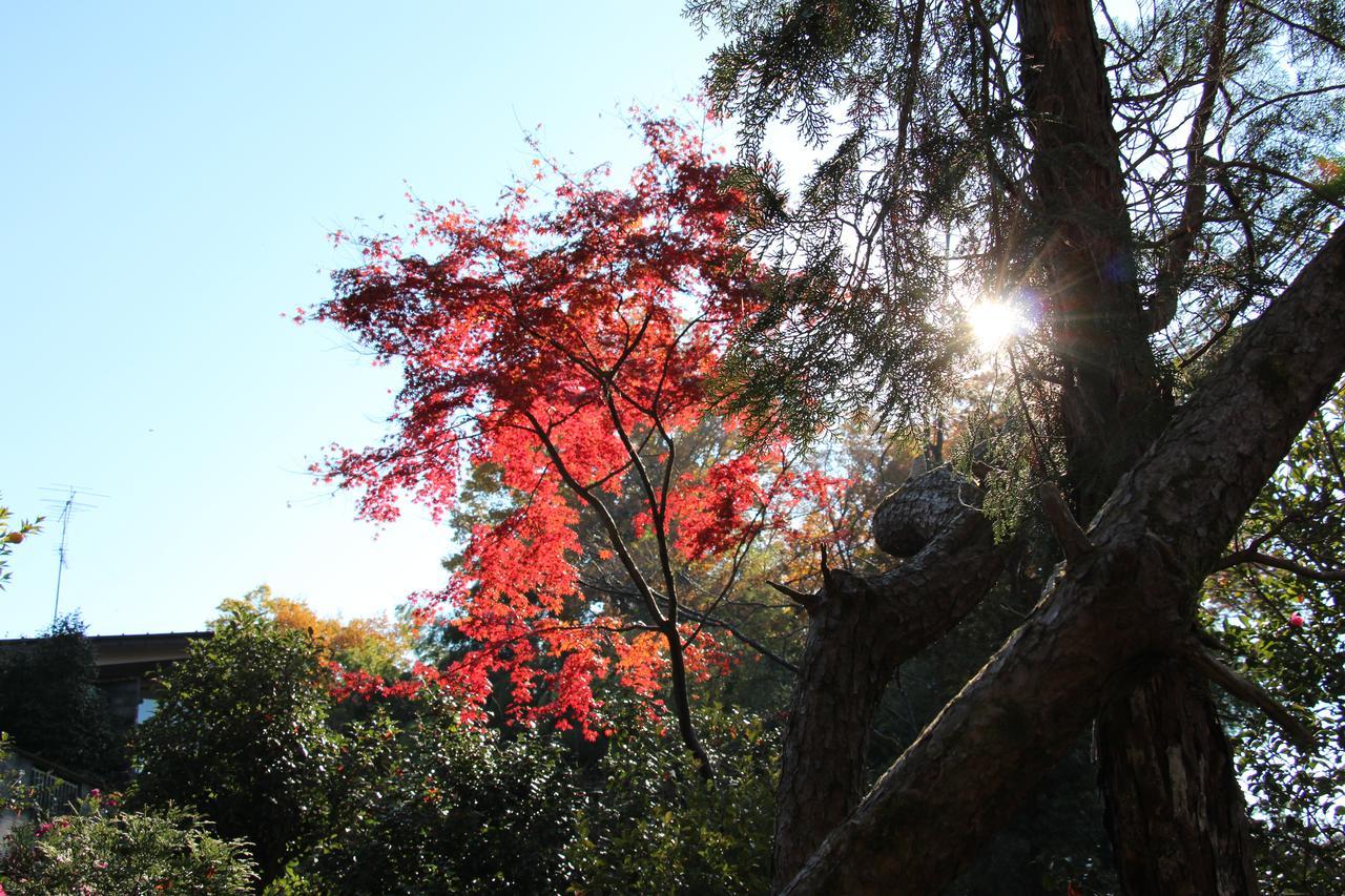 Kougetsu Sanso -- Moon Villa In Tokyo Hachioji Dış mekan fotoğraf